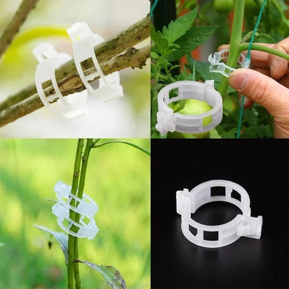 Clips plastic securizate pentru plante