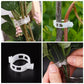 Clips plastic securizate pentru plante