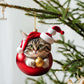 🎄10 bucăți 😻 Ornamente pentru pomul de Crăciun cu pisică. Ornamente suspendate pentru pisici