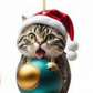 🎄10 bucăți 😻 Ornamente pentru pomul de Crăciun cu pisică. Ornamente suspendate pentru pisici